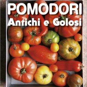 Pomodori